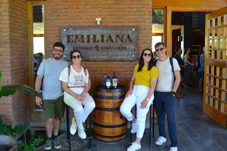 Santiago: Valparaíso Cruise Port Transfer & Vineyard Tour