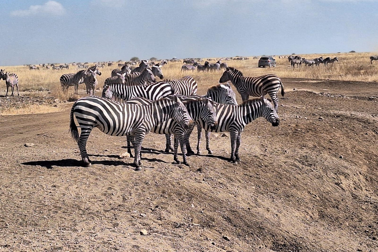 Poranna safari w Parku Narodowym Nairobi