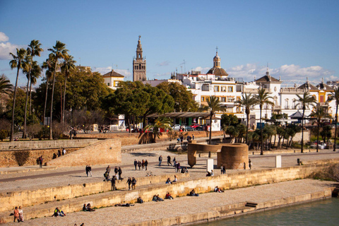 Seville: Food Tour with 10 Tastings of Tapas, Ham, Churros