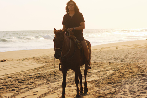 Accra: Horse Riding Experiencer Near Coastal Areas