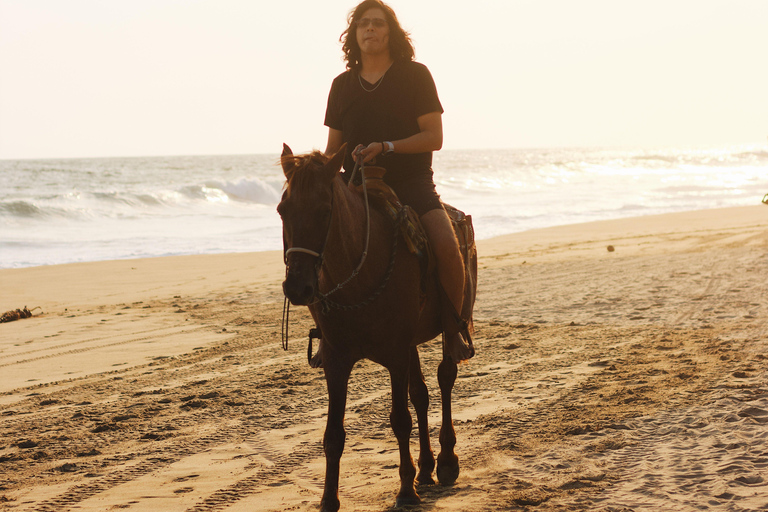 Accra: Horse Riding Experiencer Near Coastal Areas