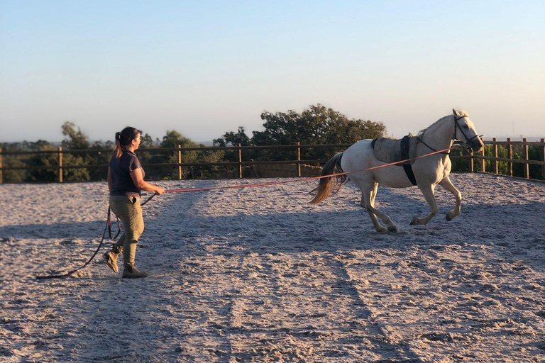 Costa Alentejana: Horse tour in Serra de Grândola