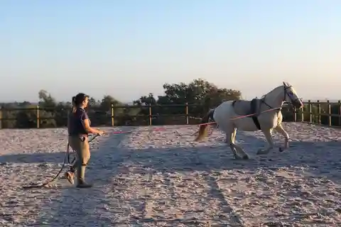Costa Alentejana: Passeio a cavalo na Serra de Grândola
