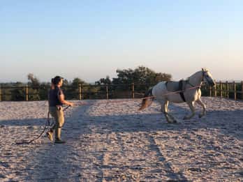 Costa Alentejana: ruta a caballo por la Serra de Grândola