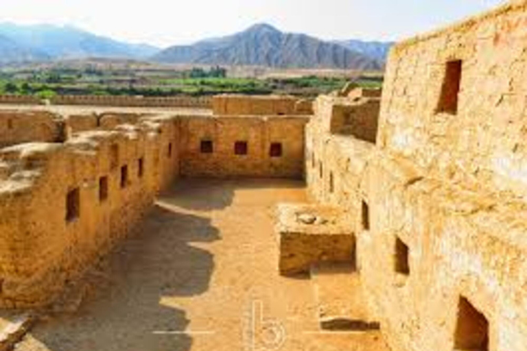 Tur till Paracas och Tambo Colorado för historieälskare