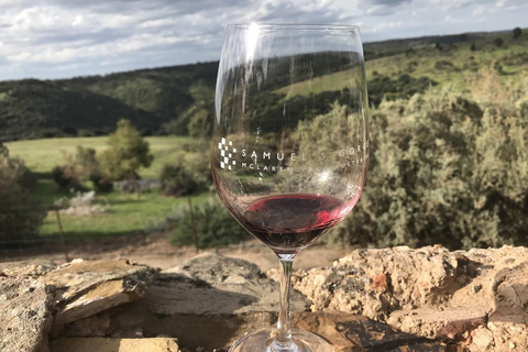 Adelaide: McLaren Vale Private WineTour+Your Chosen Tastings