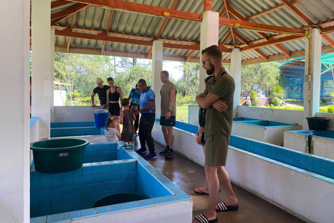 Khao Lak: Jungle River Rafting & Conservation Visit + Pickup
