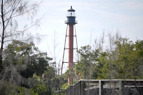 Tarpon Springs: Evening Dolphin Cruise Tarpon Springs: Sunset Dolphin Cruise with Refreshments