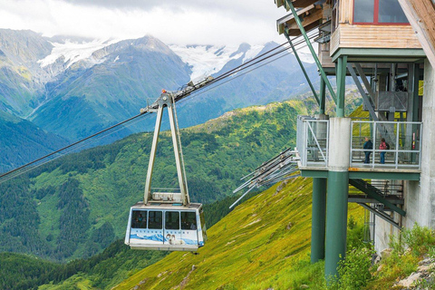 Anchorage: Mount Alyeska Tram & Wildlife Center Tour