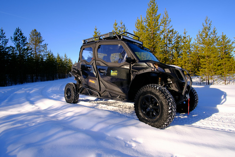 Helsinki: Buggy Ride, Reindeer Farm Visit, and Picnic