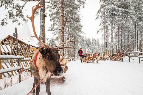 Rovaniemi: Reindeer & Husky Ride with Santa Claus Village