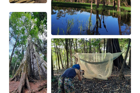 Manaus: 3 lub 5 dni w Amazon Tour w Tucanos Lodge