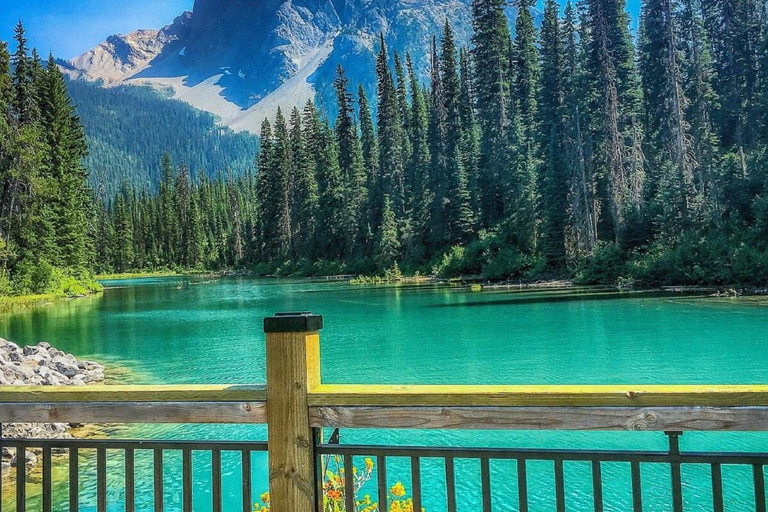 Banff/Calgary:Lake Louise,Moraine Lake,Emerald Lake Day Tour Canmore