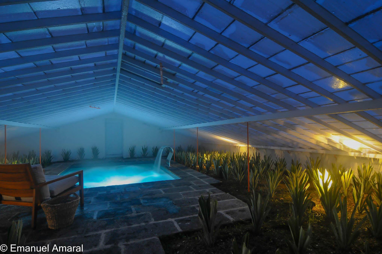 Pineapple greenhouse hot tube and pineapple tour Relax in pineapple greenhouse hot tube and do pineapple tour