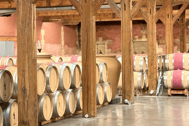 Bordeaux : visite d&#039;une jounée dans la région viticole du Médoc