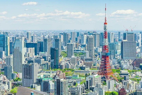 Tour privato di 5 ore con scalo a Tokyo