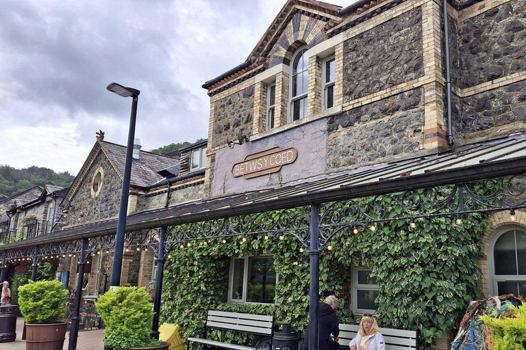 Cardiff: Private Snowdonia National Park Day Voyage