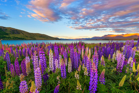 Von Queenstown aus: Halbtagestour mit Führung zum Mount Cook