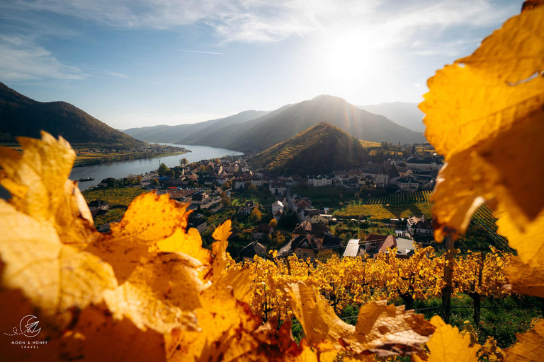 Bratislava/Vienna: Liechtenstein, Seegrotte, Melk, Wachau Small Open group