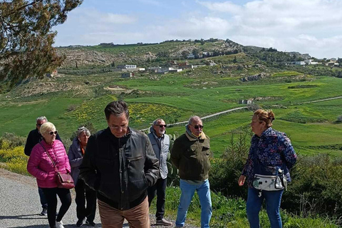 Nord-est de la Tunisie : Oliviers et beauté des paysages