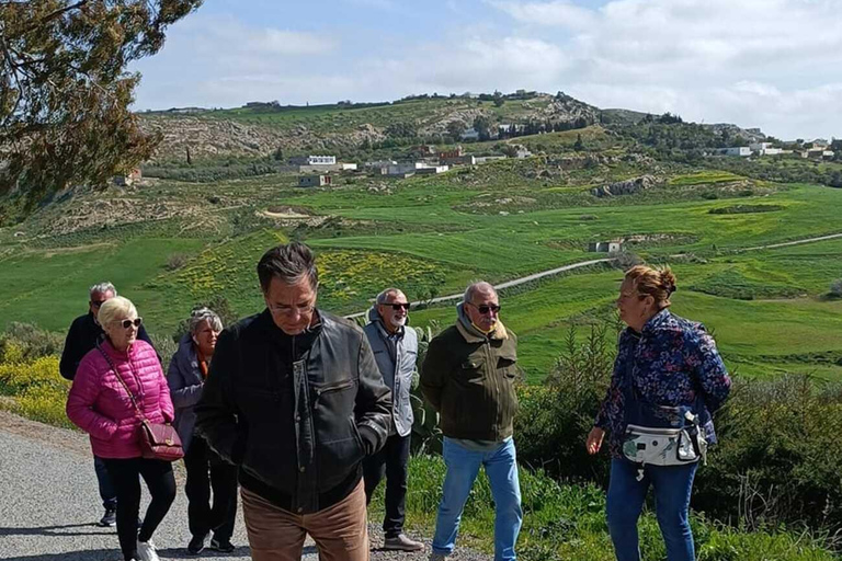 Nord-est de la Tunisie : Oliviers et beauté des paysages