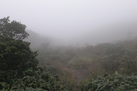 Knuckles Mountain Watervallen Luipaardpad Trek vanuit Kandy