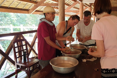 Siem Reap: Smågruppstur till Kulen Elephant Forest