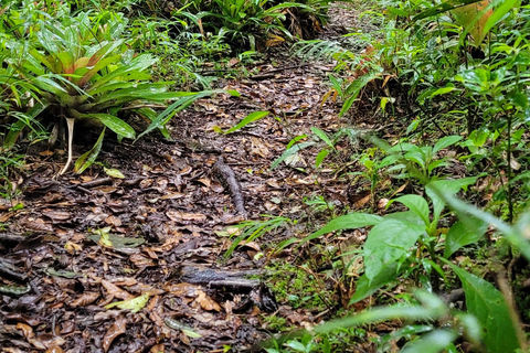 MANTIQUEIRA SELVAGEM CHALLENGE - 12 uitdagende dagen in de bergen!!!