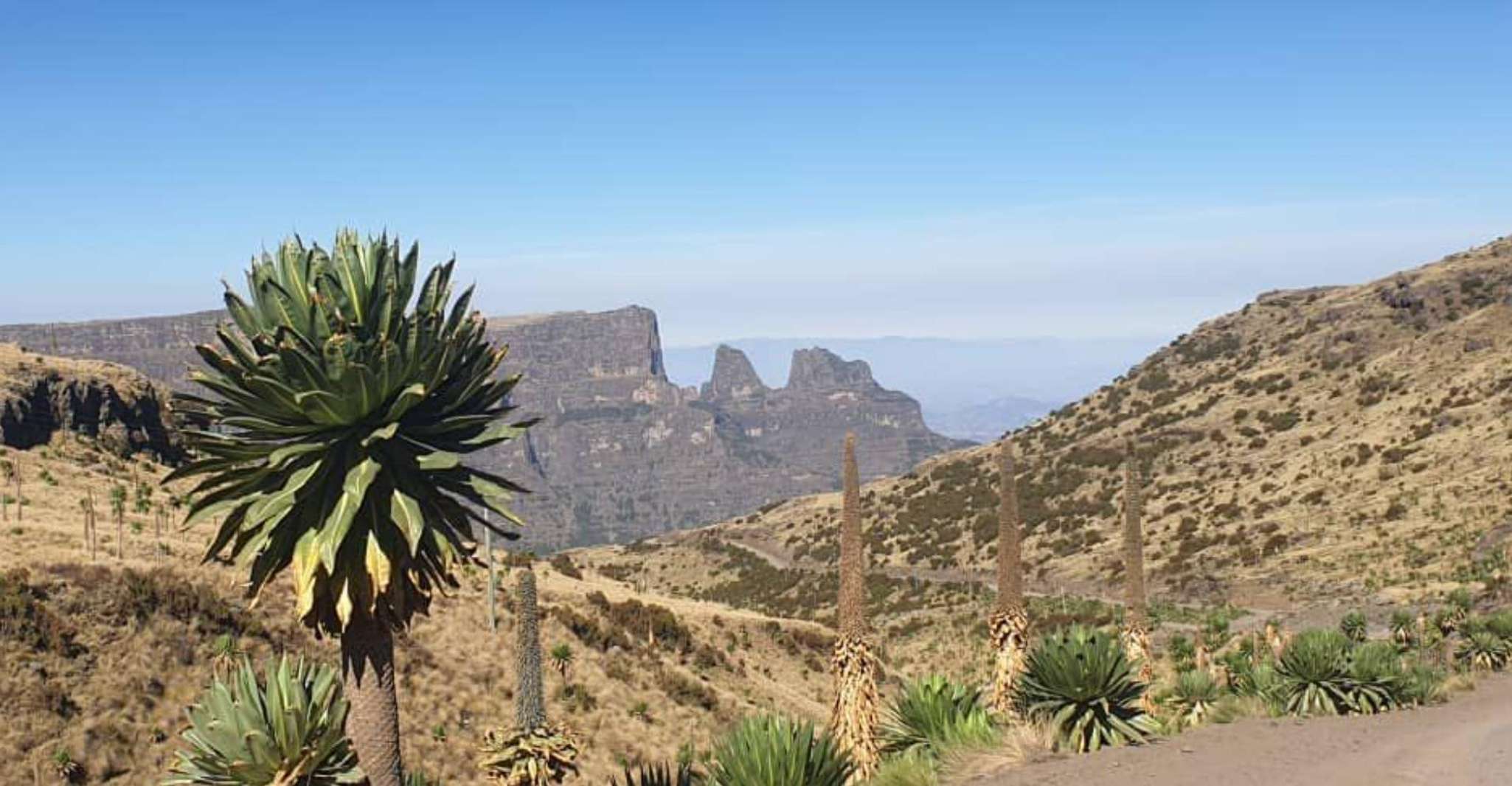 Day Trek to Simien Mountain - Hizvo