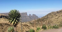Día de Trek a Simien Mountain - Hizvo