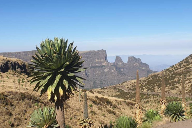 Tageswanderung zum Simien-Berg