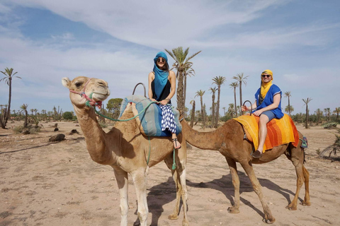 Promenade à dos de chameau à Marrakech Palmeraie