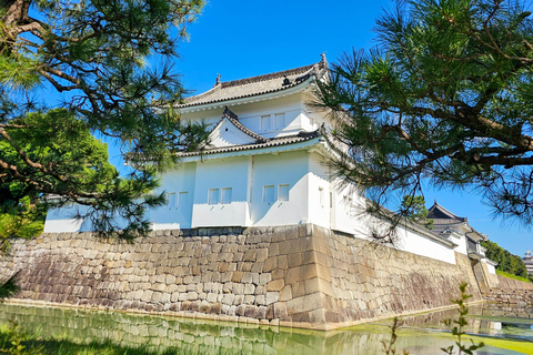 Kyoto: Anpassningsbar 4-timmars tur till världsarvslistornaPrivat tur på engelska (Centrala Kyoto)