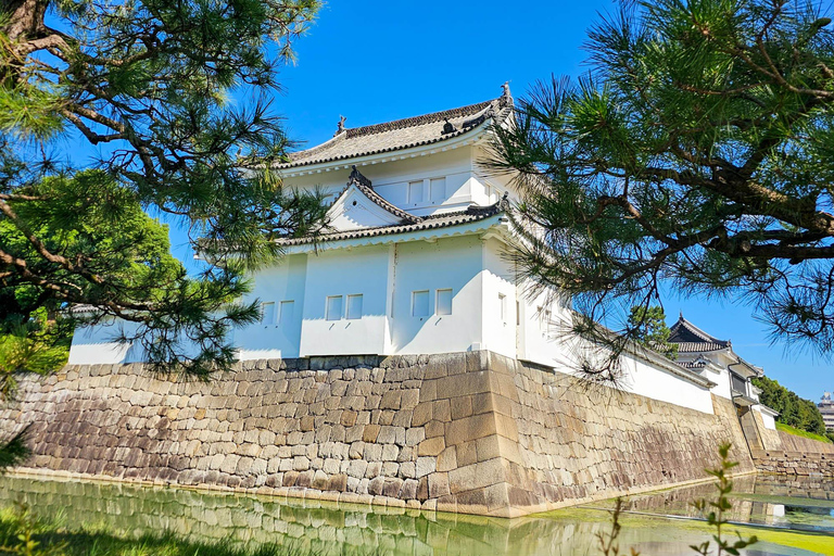 Kyoto - en privat Privat dagsutflykt med världsarvsanpassningPrivat tur på engelska (Centrala Kyoto)