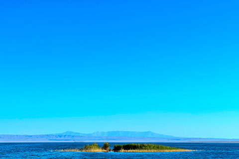 From Bukhara/Samarkand: 2-Day Aydarkul Lake & Yurt Camp Tour Private tour to Aydar Lake & Yurt from Bukhara to samarkand
