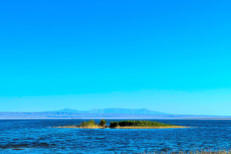 From Bukhara/Samarkand: 2-Day Aydarkul Lake & Yurt Camp Tour Private tour to Aydar Lake & Yurt from Bukhara to samarkand