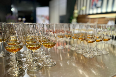 Dresden: Whisky Tasting Experience with Expert Guidance