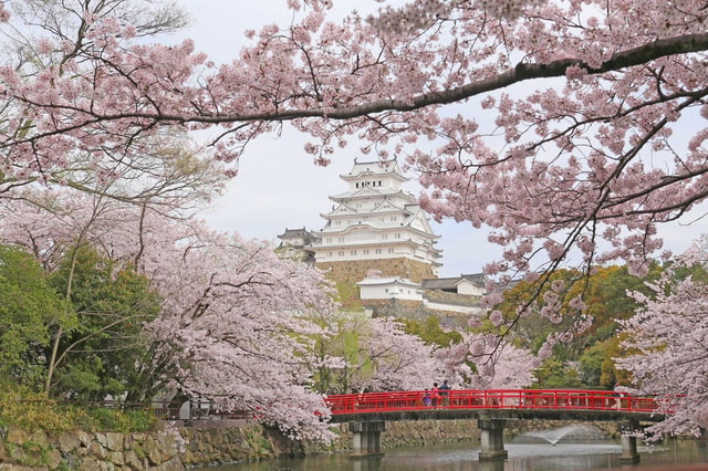 Himeji: Historic Town E-Bike Tour