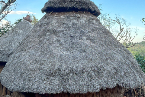 Axum: Ganztagestour mit GuideAxum: Ganztagestour mit einem Guide