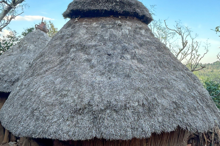 Axum: Ganztagestour mit GuideAxum: Ganztagestour mit einem Guide