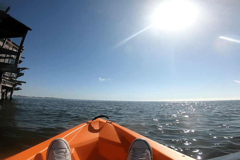 Swakopmund: Walvis Bay Lagoon Kayaking Adventure From Walvis Bay: Lagoon Kayaking Adventure