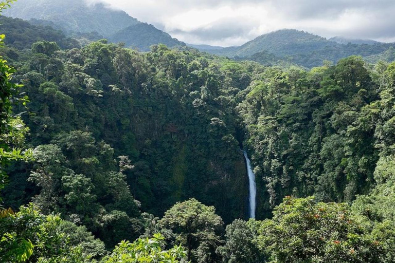 Vanuit San José: Privé Monteverde regenwoud dagtour