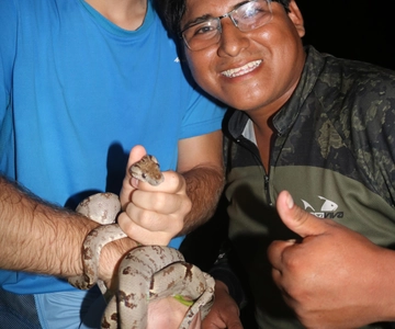 Puerto Maldonado: Jungle Avondtour met luiaards & Tarantula's