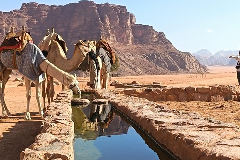 Wadi Rum: Hiking Tour with Watching the stars Bedouin Camp Hiking Tour 4hours