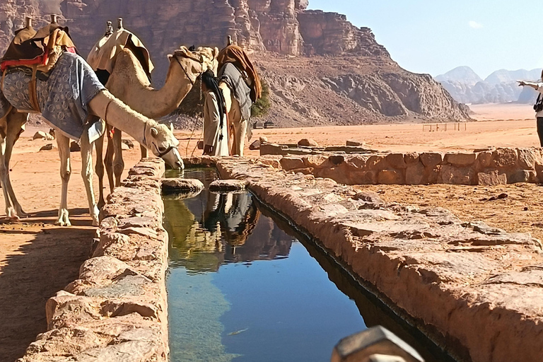 Wadi Rum: Hiking Tour with Watching the stars Bedouin Camp Hiking Tour 4hours