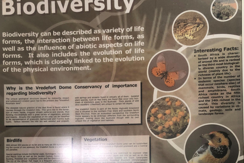 Johannesburg: Ganztägige Tour zum Weltkulturerbe Vredefort DomeJoburg: Vredefort Dome Welterbestätte Ganztagestour