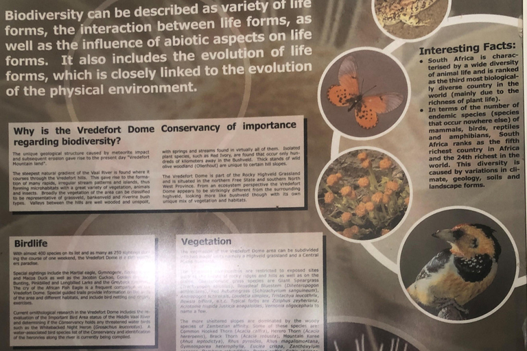 Johannesburg: Ganztägige Tour zum Weltkulturerbe Vredefort DomeJoburg: Vredefort Dome Welterbestätte Ganztagestour