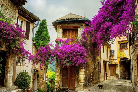 Excursion d'une journée, le meilleur de la PROVENCE : Aix-en-Provence et Cassis