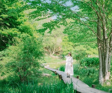 Kobe: Rokko Forest Sound Museum Admission Ticket
