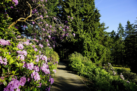 Kassel : prêt pour l&#039;île ? Karlsaue et Siebenbergen dans les parfums du printempsKassel : Mûr pour l&#039;île ?! Karlsaue et Siebenbergen dans un parfum de printemps